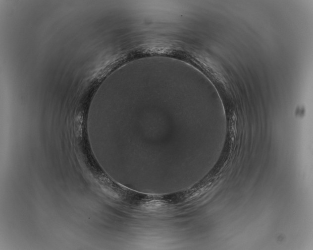 X0000091210551200708161545