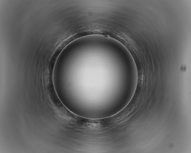 X0000091210552200708161545