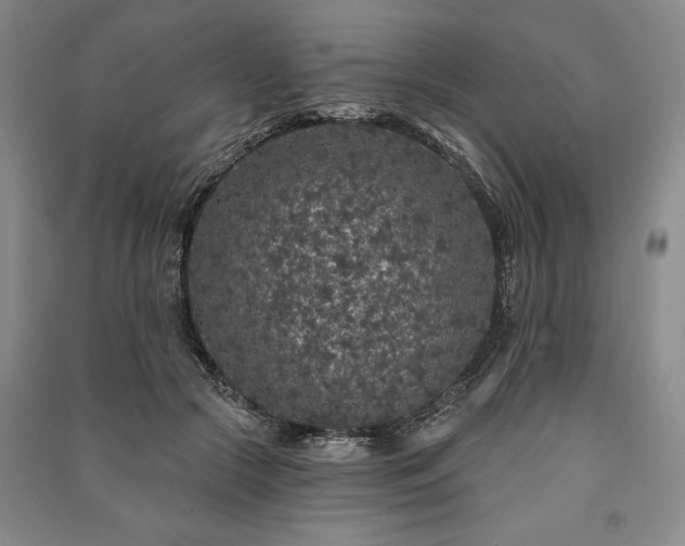 X0000091210553200708161545