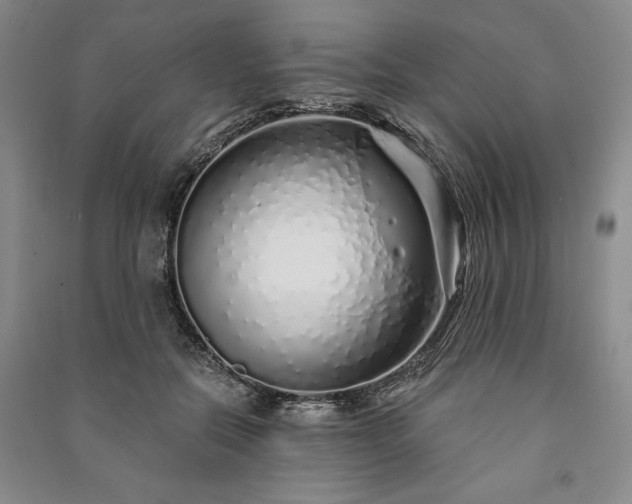 X0000091210554200708161545