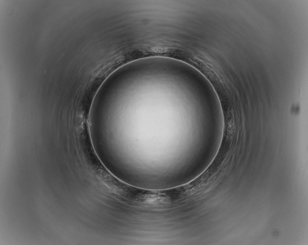 X0000091210555200708161545