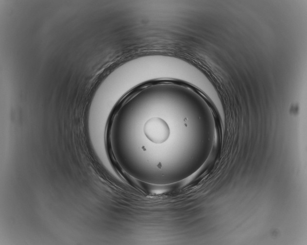 X0000091210556200708161545