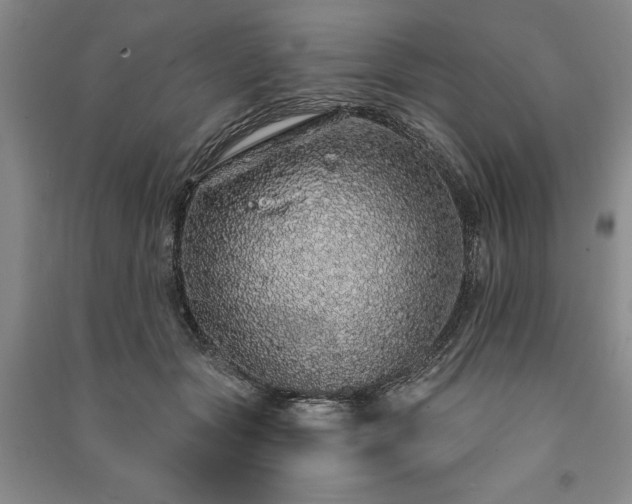 X0000091210557200708161545
