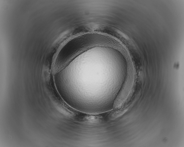 X0000091210558200708161545