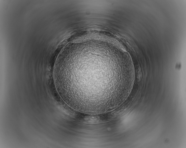 X0000091210559200708161545