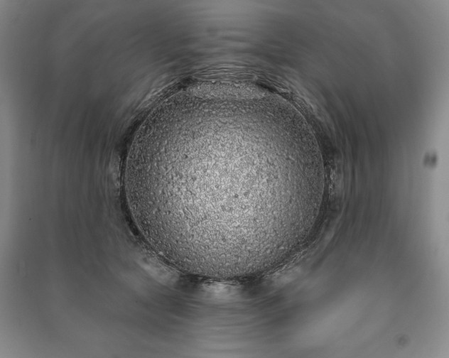 X0000091210561200708161545