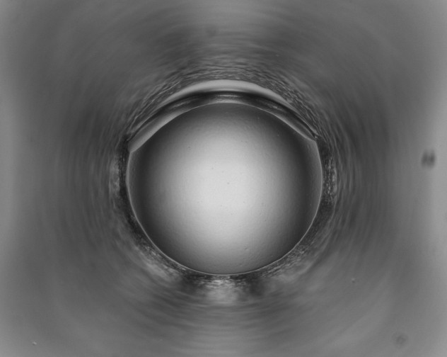X0000091210562200708161545