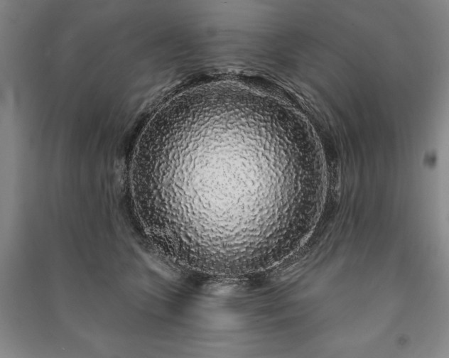 X0000091210563200708161545