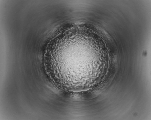 X0000091210565200708161545