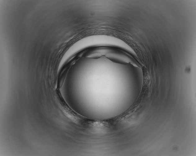 X0000091210566200708161545
