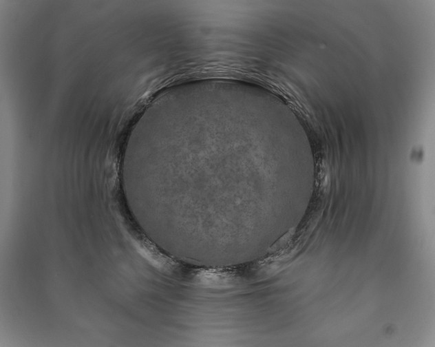 X0000091210568200708161545