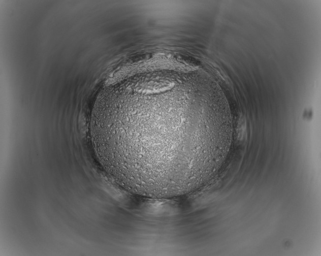 X0000091210569200708161545