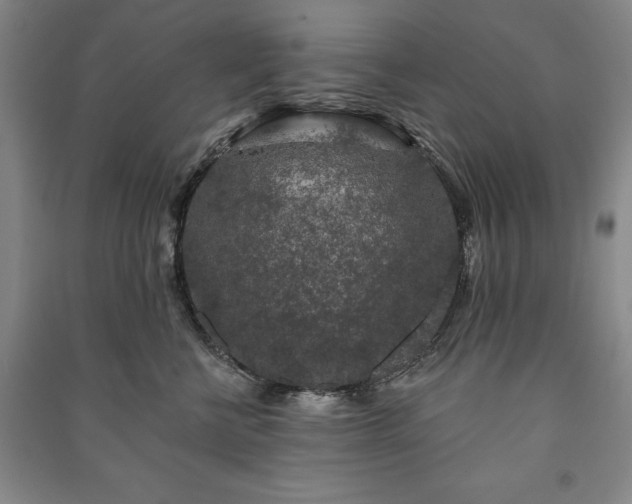 X0000091210570200708161545