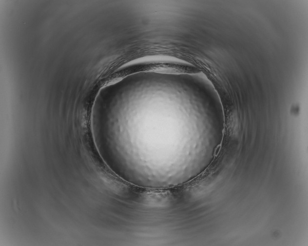 X0000091210571200708161545