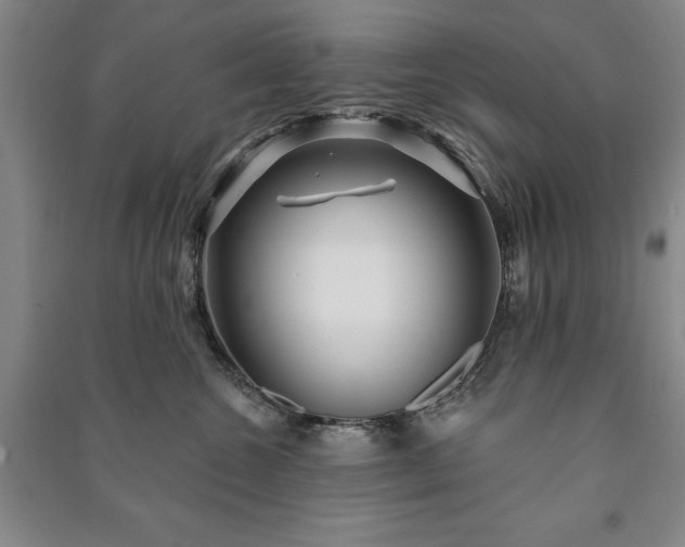 X0000091210572200708161545
