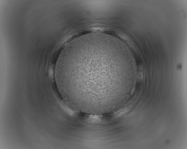 X0000091210573200708161545
