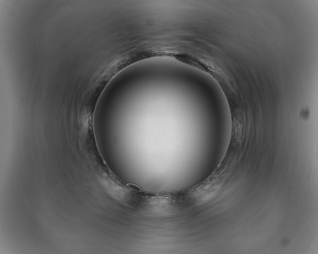 X0000091210574200708161545