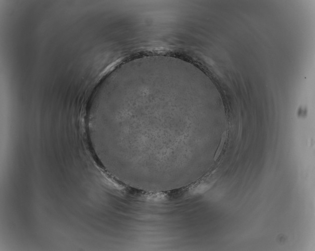 X0000091210576200708161545