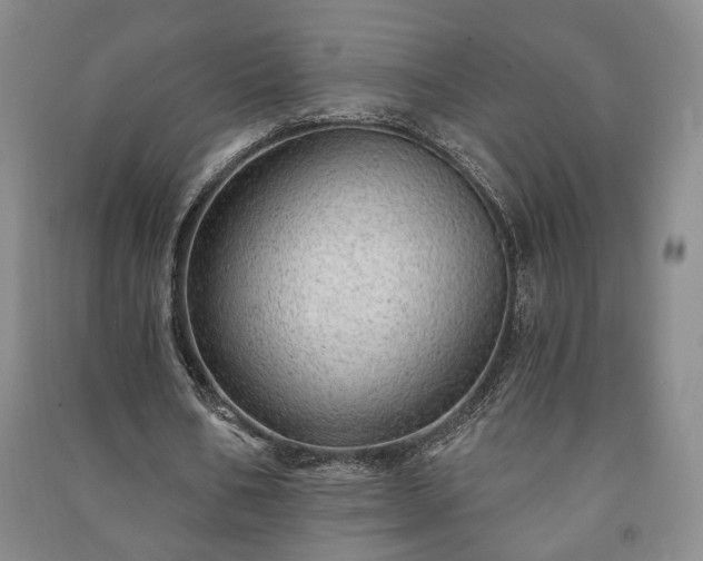 X0000091210578200708161545