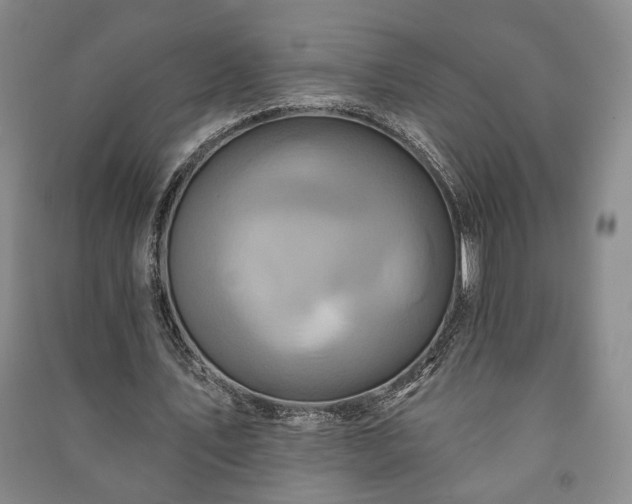 X0000091210579200708161545