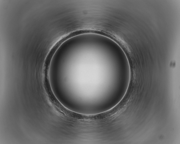 X0000091210580200708161545