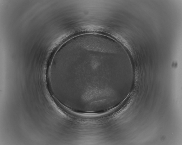 X0000091210581200708161545
