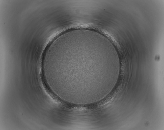 X0000091210582200708161545