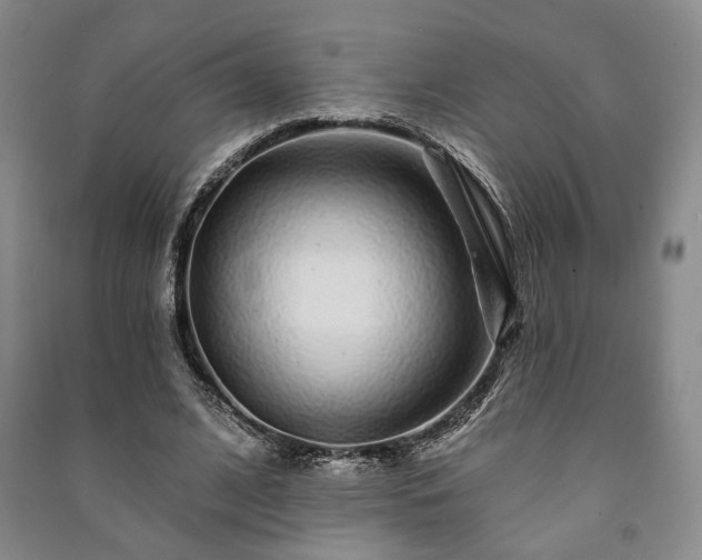 X0000091210584200708161545