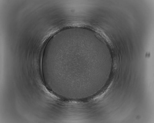 X0000091210585200708161545