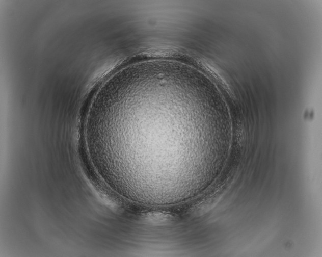 X0000091210586200708161545