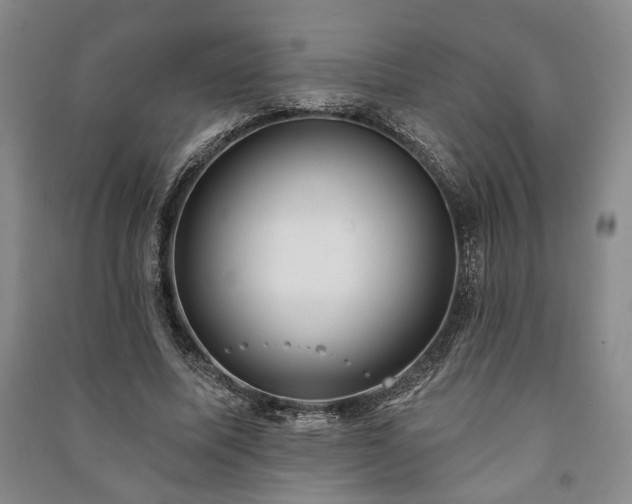 X0000091210587200708161545