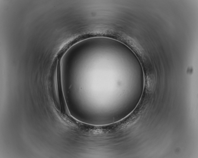 X0000091210588200708161545