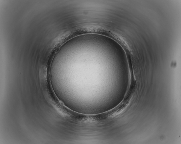 X0000091210589200708161545