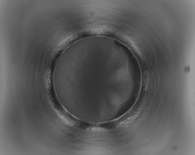 X0000091210590200708161545