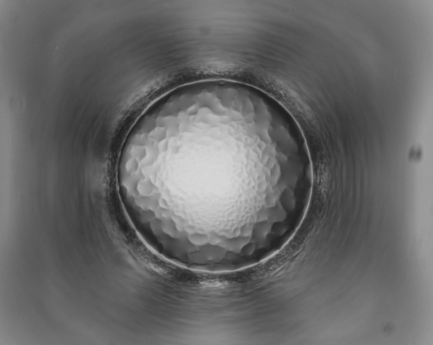 X0000091210591200708161545