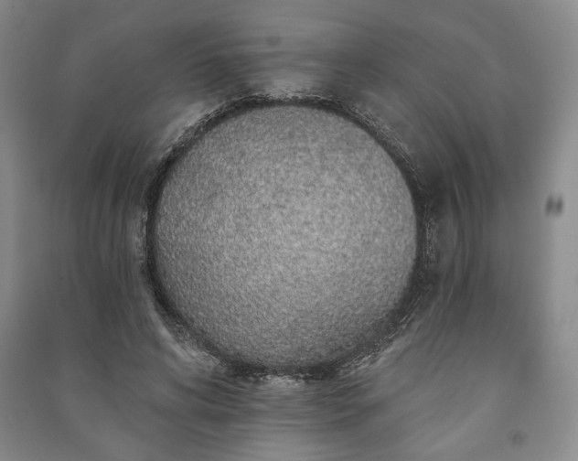 X0000091210592200708161545