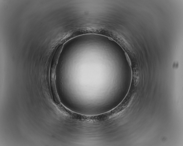 X0000091210593200708161545