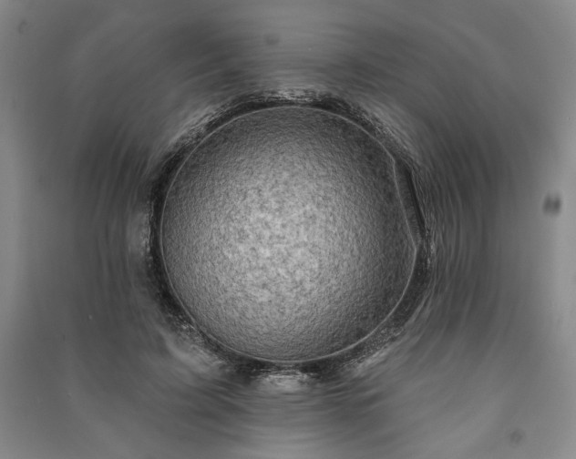 X0000091210595200708161545