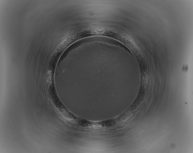 X0000091210598200708161545