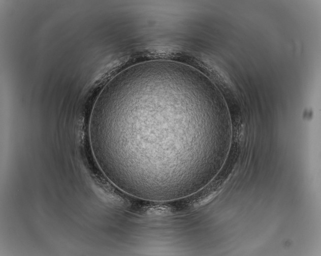 X0000091210599200708161545