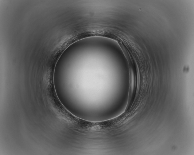 X0000091210600200708161544