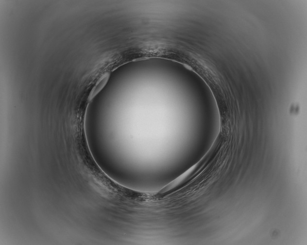X0000091210601200708161544