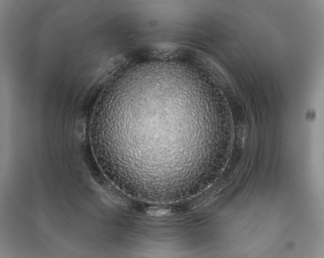 X0000091210602200708161544
