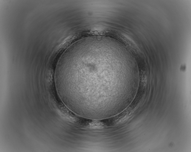 X0000091210603200708161544