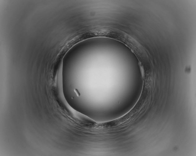X0000091210604200708161544