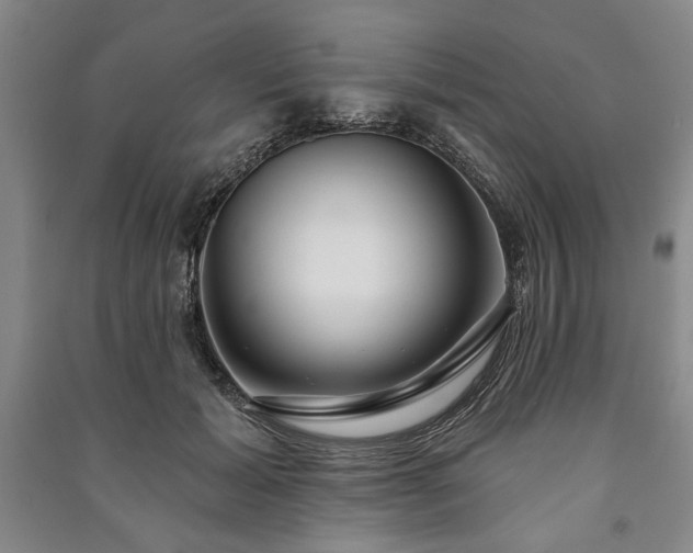 X0000091210605200708161544