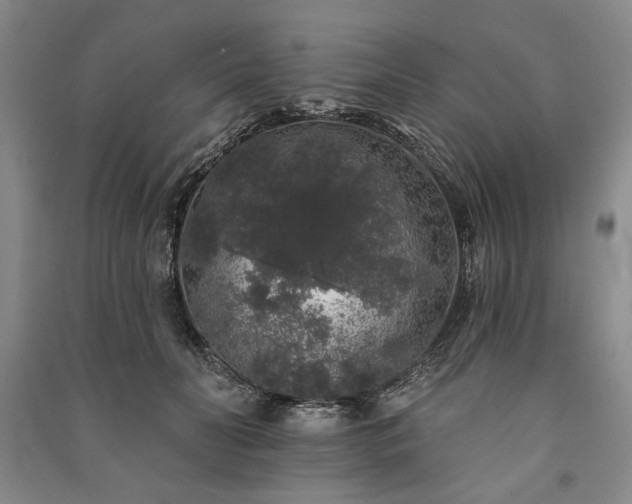 X0000091210606200708161544