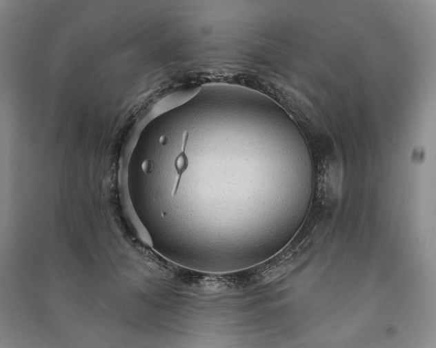 X0000091210608200708161544