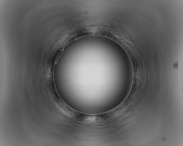 X0000091210611200708161544