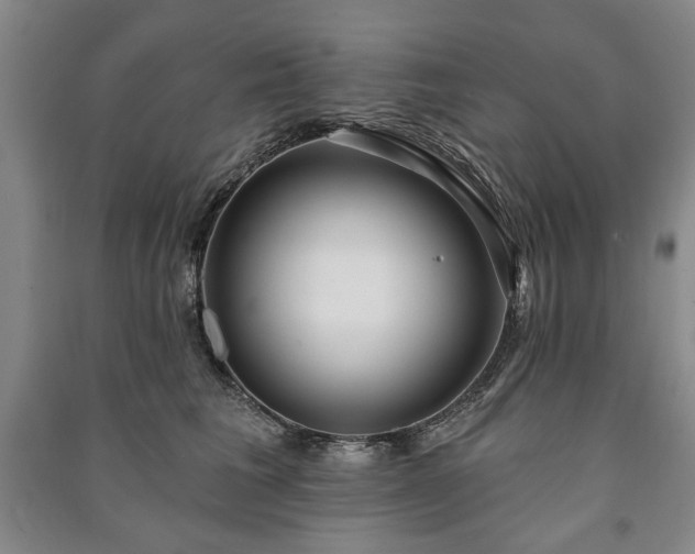 X0000091210613200708161544